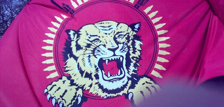 Cornered, Tamil Tigers Look Outward for Help