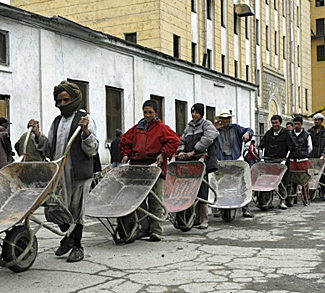 Afghan men line up with wheelbarrows for food