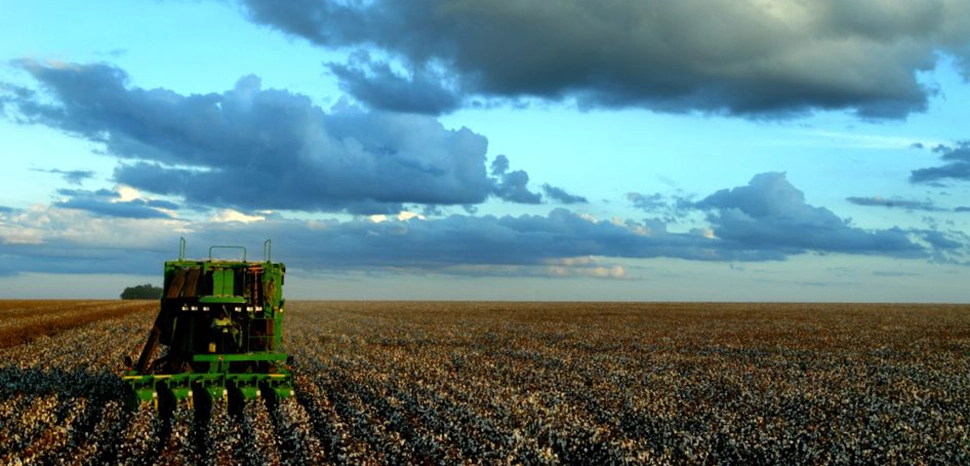 cc João Felipe C.S, modified, https://commons.wikimedia.org/wiki/File:Agriculture_in_Brazil.jpg