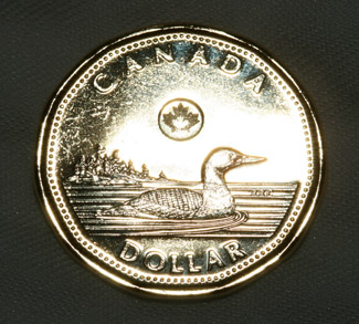 Loonie, cc Flickr S. Rae, modified, https://creativecommons.org/licenses/by/2.0/