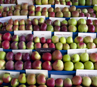 Apples, CC Flickr, Chris Barber