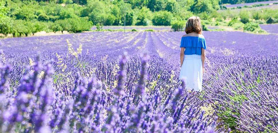 cc Mike Slone, modified, Walking through lavender fields in Provence, South of France / https://www.flickr.com/photos/mikeslone/27745348804