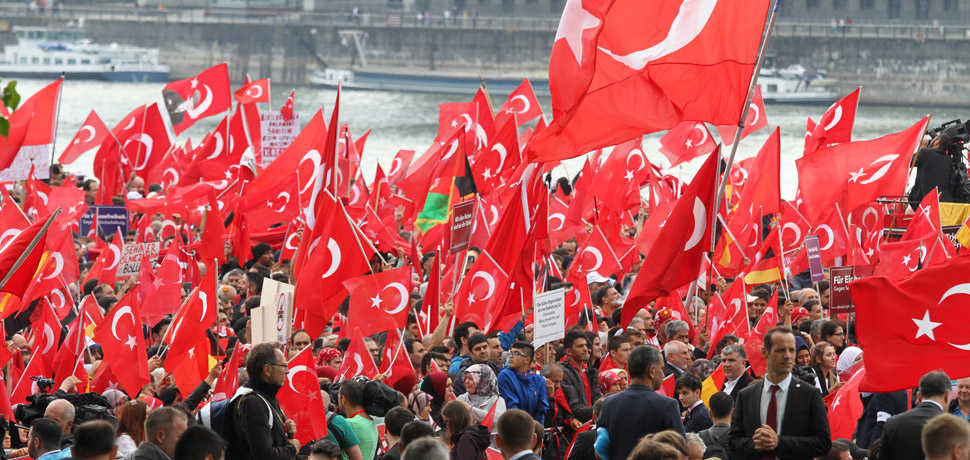                 TurkeyDemo, cc Flickr Andreas Trojak,modified, https://creativecommons.org/licenses/by/2.0/
              