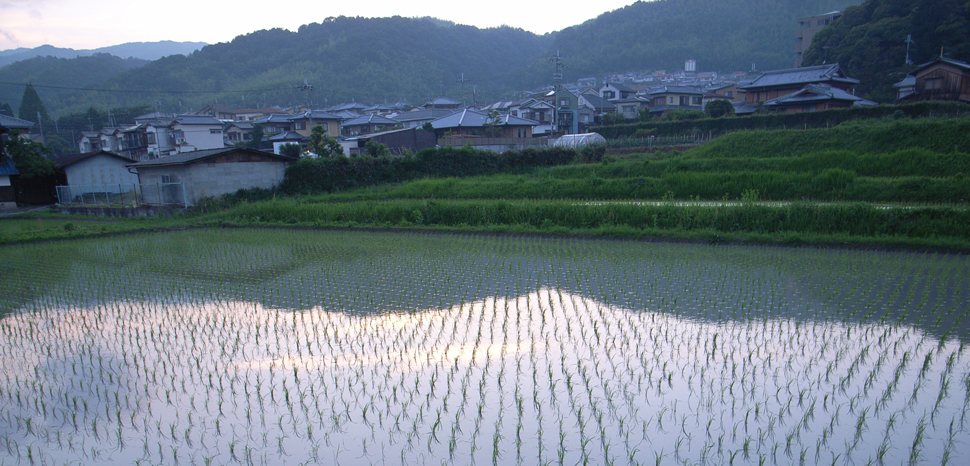 cc Flickr Toshiyuki IMAI, modified, https://creativecommons.org/licenses/by-sa/2.0/