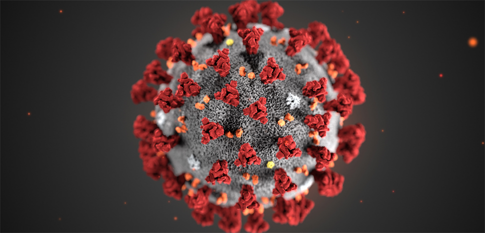A computer-generated model of the Wuhan Coronavirus, CDC, public domain, modified, https://commons.wikimedia.org/wiki/File:2019-nCoV-CDC-23312.png#/media/File:2019-nCoV-CDC-23311.png