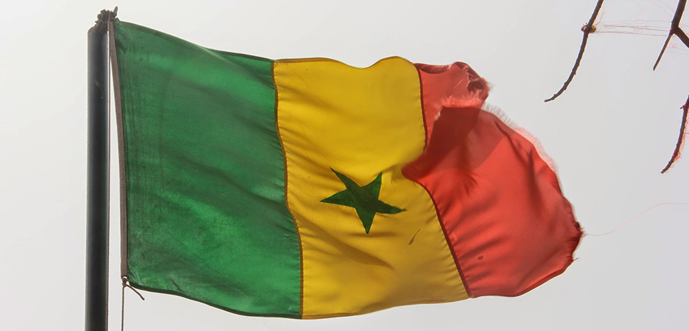                 cc Bajpaiabhinav, modified, https://commons.wikimedia.org/wiki/File:Senegal_Flag.jpg
              