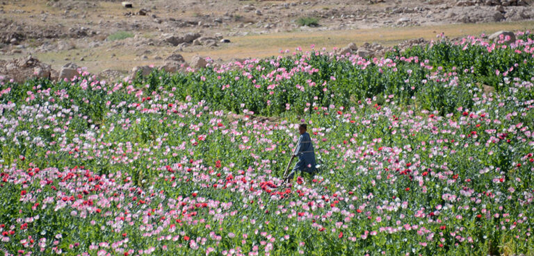 Middle East Meth Crisis: A Destabilizing Trend