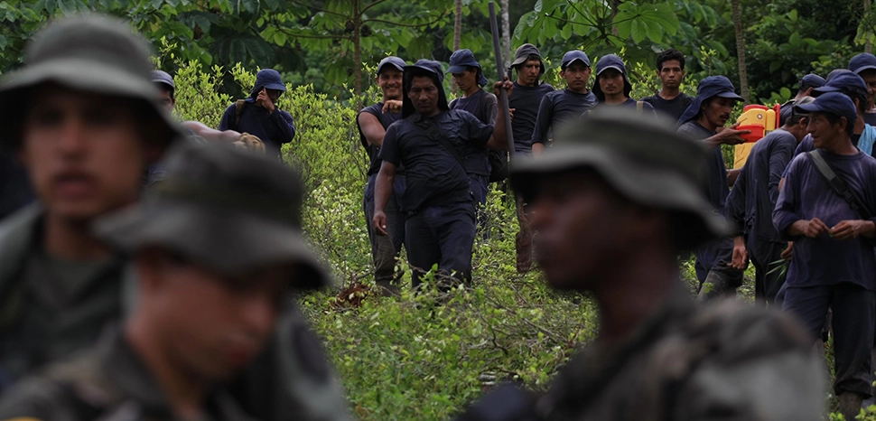 Police scort coca erradicators during a working day of manual eradication in Taraza , Colombia, Tuesday, June,17, 2008. Guarded by police officer more than two hundred peasants are eradicating coca crops in the region., modified, William Fernando Martinez. CC Policia Nationale Colombia; https://www.flickr.com/photos/policiacolombia/5519739253
